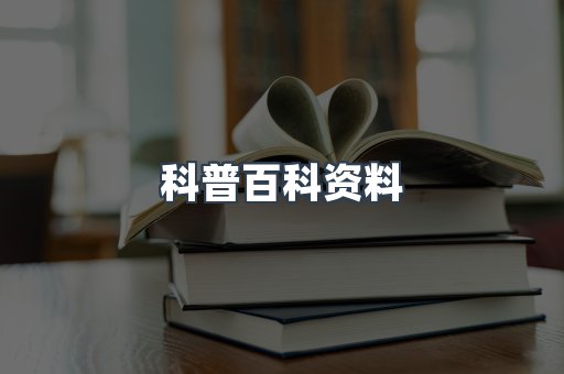 外文电子书系列